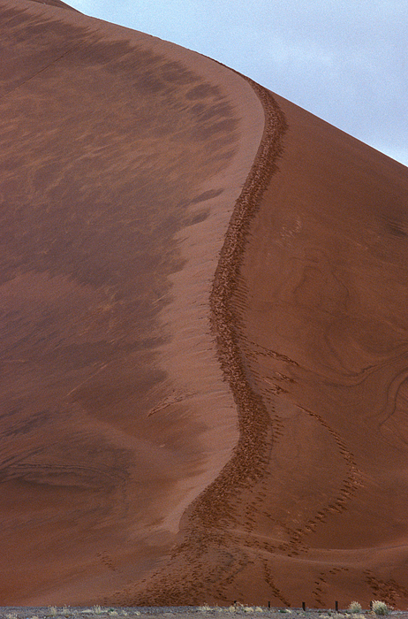 Damage To Sand Dunes by DAVID HOSKING Damage To Sand Dunes by DAVID HOSKING